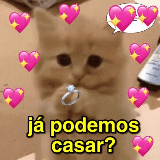 Figurinha: Já podemos casar?