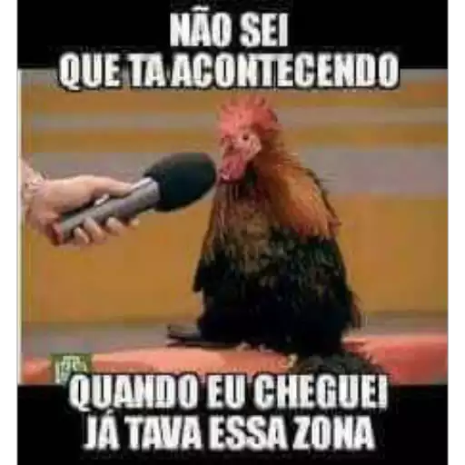 Figurinha: Galo entrevistado