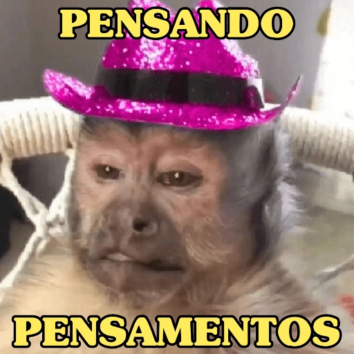 Figurinha: Macaco Pensando