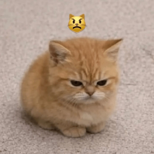 Figurinha: Gatinho zangado