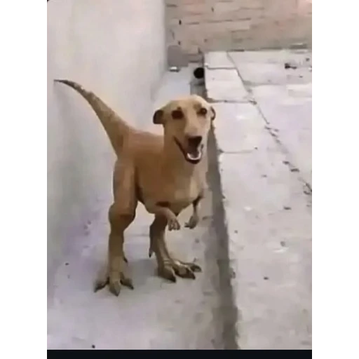 Sticker: Perro Dinosaurio