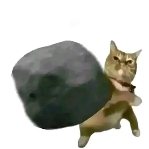 Figurinha: Gato com pedra