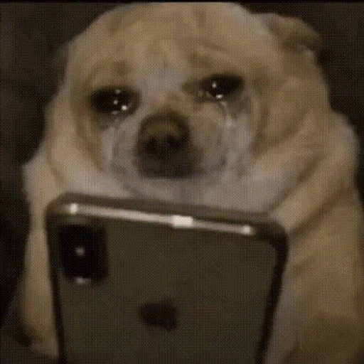 Figurinha: Cachorro chorando no celular