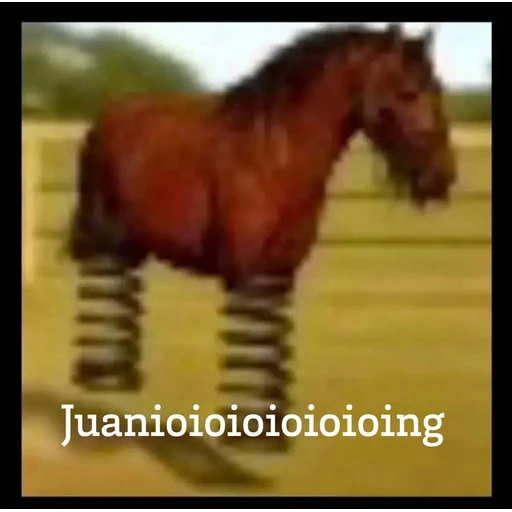 Sticker: Juan the horse