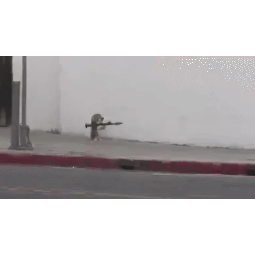 Figurinha: Gatinho soldado atirando