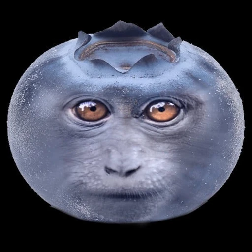 Figurinha: Mirtilo Macaco