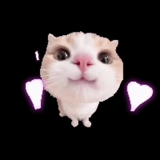 Figurinha: Gatinho fofo apaixonado