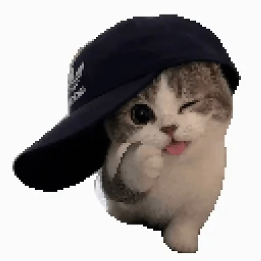 Figurinha: Gatinho Estiloso