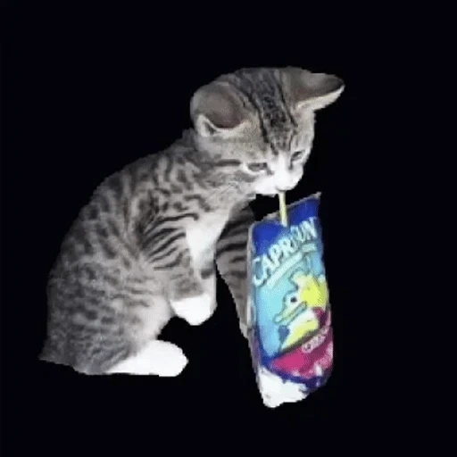 Sticker: Gatito tomando Capri Sun