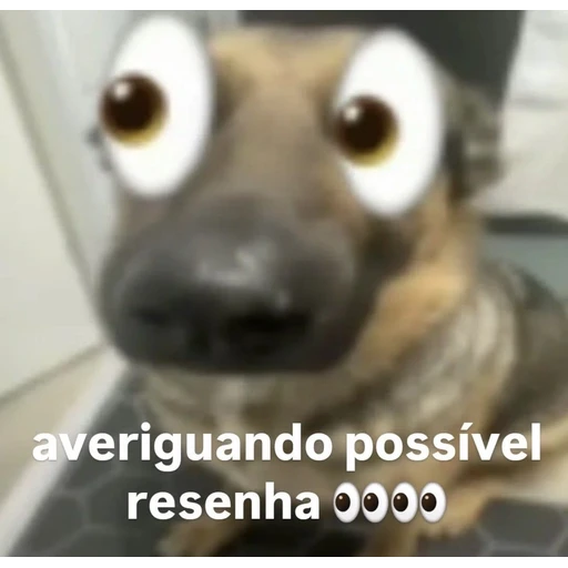 Figurinha: Averiguando possível resenha
