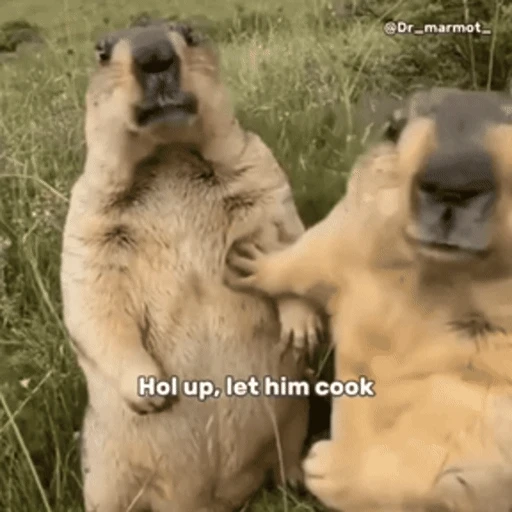 Sticker: Hol up, let him cook