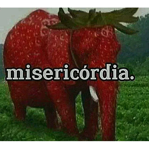 Sticker: Misericordia