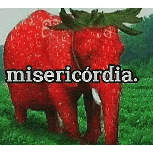 Figurinha: Misericórdia