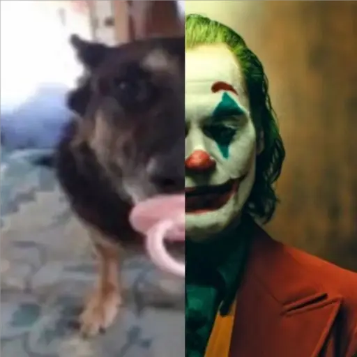 Sticker: Perro Joker