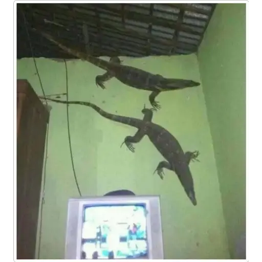 Sticker: Lizards on the wall