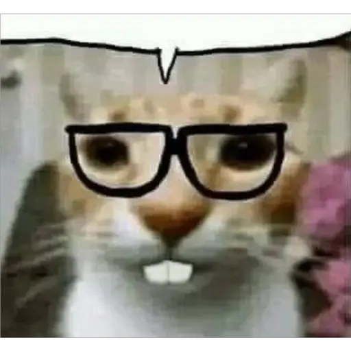 Sticker: Nerd Cat with Speech Bubble