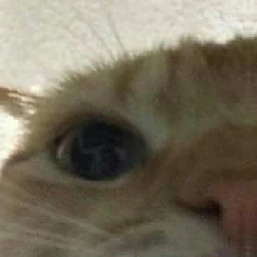 Figurinha: Olho de Gato Assustado