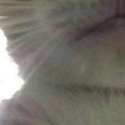 Figurinha: O sorriso torto do Garfield