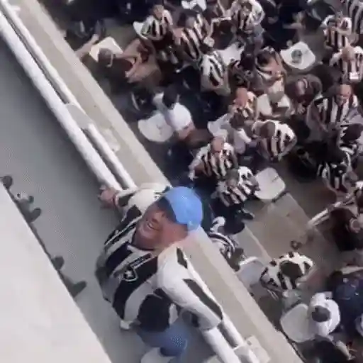 Sticker: Botafogo Fan