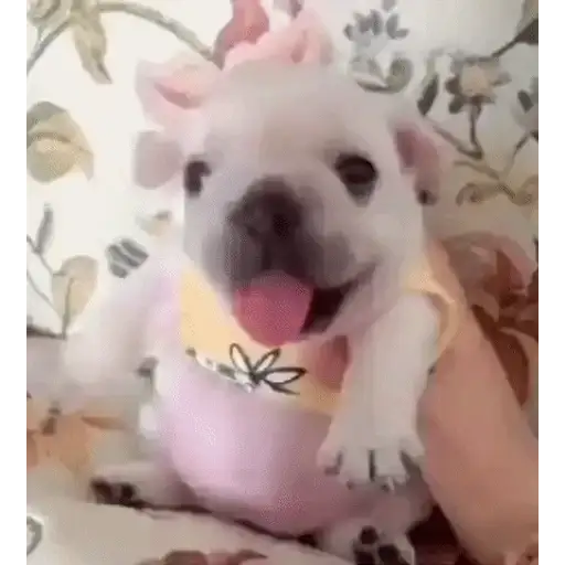 Sticker: Perrito tierno