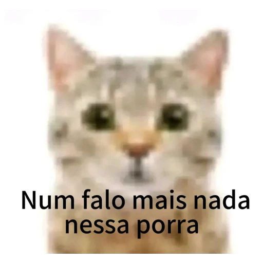 Figurinha: Num falo mais nada nessa porra
