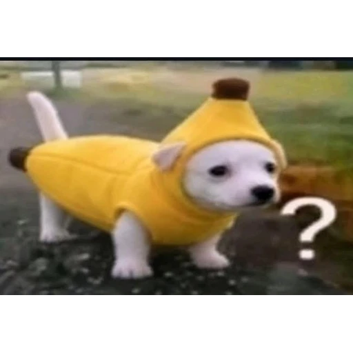 Figurinha: Cachorro Banana