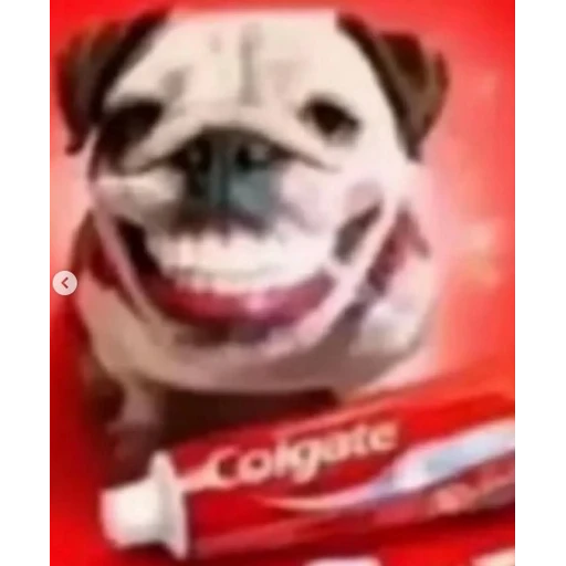 Figurinha: Cachorro Colgate