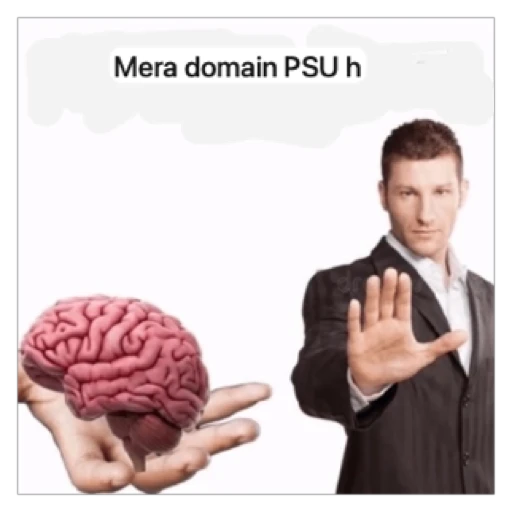 Figurinha: Mera domain PSU h