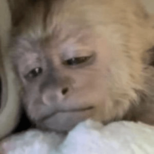 Figurinha: Macaco sonolento