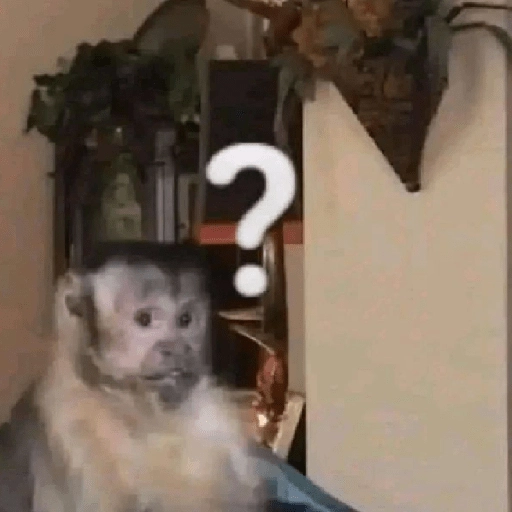 Figurinha: Macaco confuso