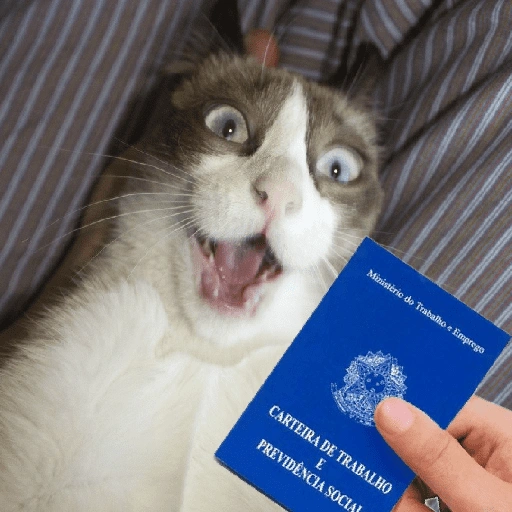 Figurinha: Gato com Carteira de Trabalho
