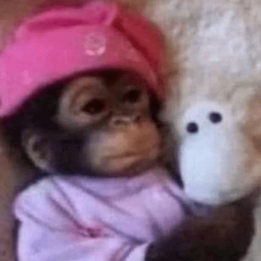 Figurinha: Macaco de Gorro Rosa