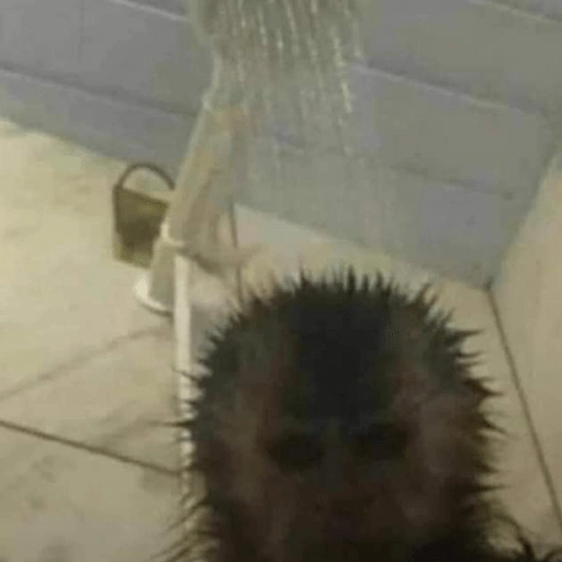 Figurinha: Macaco tomando banho