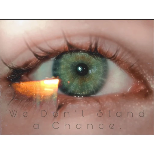 Figurinha: We Don't Stand a Chance