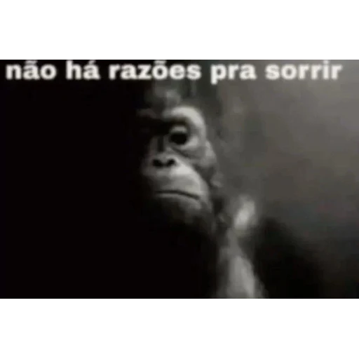 Figurinha: não há razões pra sorrir