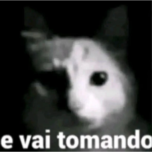 Figurinha: E vai tomando