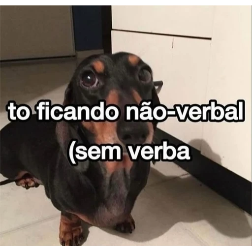 Figurinha: To ficando não-verbal