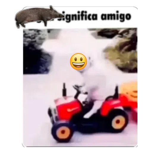 Figurinha: Javali significa amigo