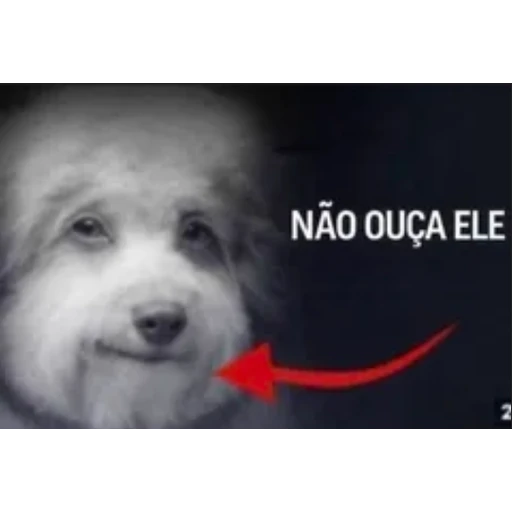 Figurinha: Não ouça ele