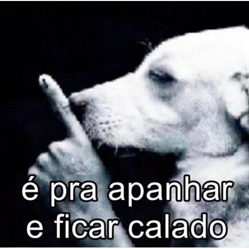 Figurinha: É pra apanhar e ficar calado