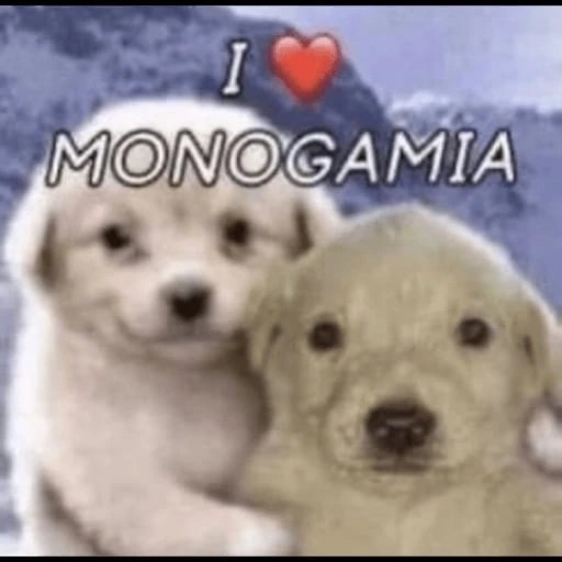 Figurinha: Eu Amo Monogamia