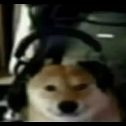 Figurinha: Doge Gamer