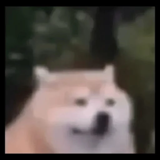 Figurinha: Dog Cheems