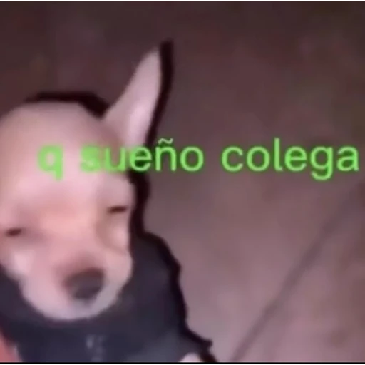 Figurinha: Q sueño colega