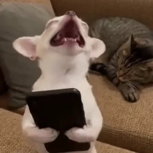 Figurinha: Cachorrinho cantando