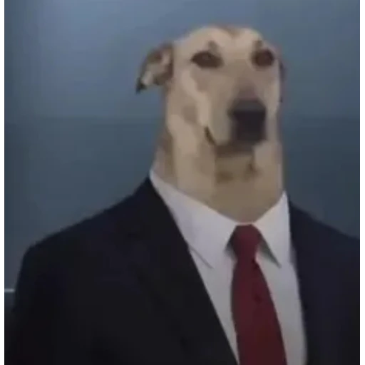 Sticker: Dog in a suit