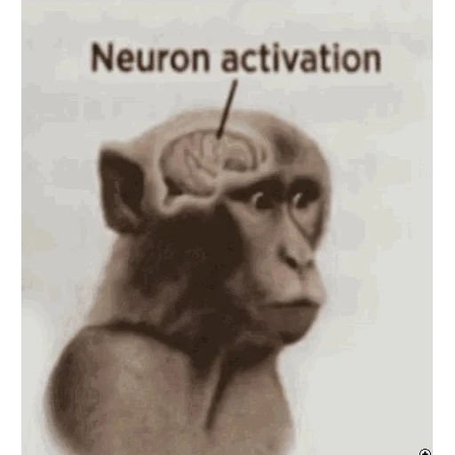 Sticker: Neuron Activation