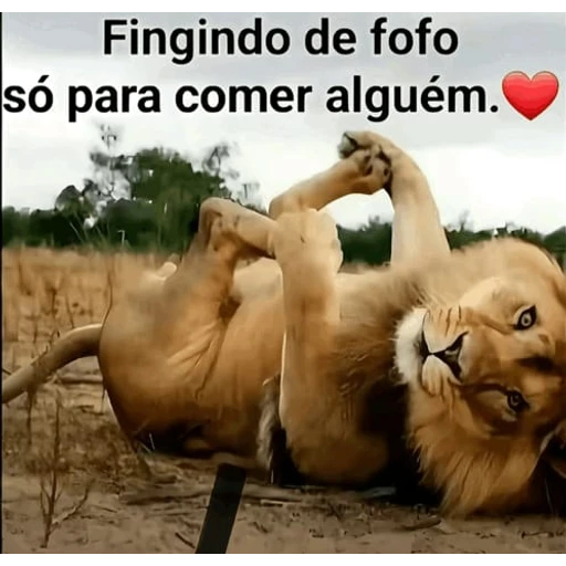 Figurinha: Fingindo de fofo