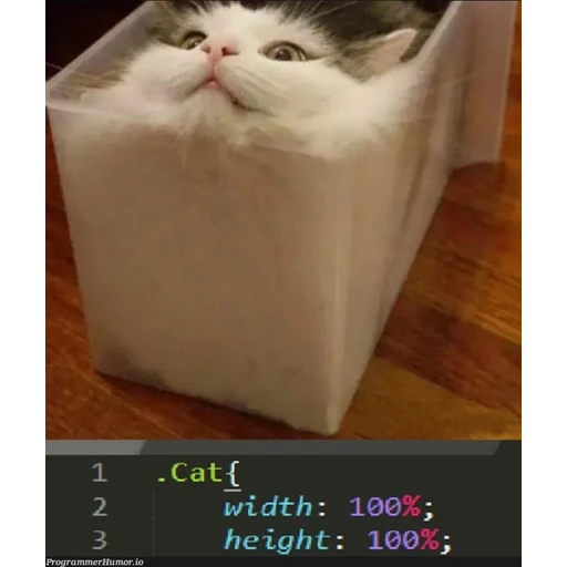 Figurinha: .Cat { width: 100%; height: 100%; }