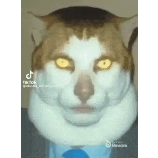 Sticker: Bizarre Talking Cat
